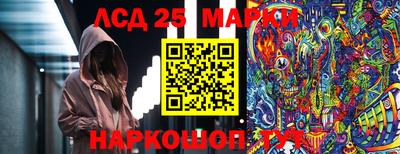 стаф Новозыбков