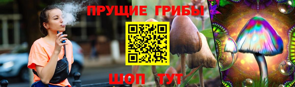 Галлюциногенные грибы Psilocybine cubensis Верхняя Пышма